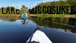 Beautiful Day to Kayak in North Florida // Reeves Landing by Hi, I'm Steph 314 views 6 months ago 5 minutes, 27 seconds