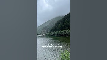 سورة الفاتحة بصوت ماهر المعيقلي , اكتب شي تؤجر عليه 🩵🎧