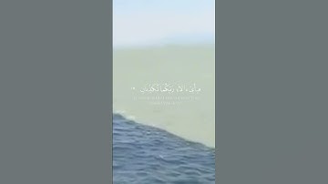 تلاوة هادئة للشيخ ياسر الدوسري حفظه الله سورة الرحمن #سورة الرحمن #القران الكريم  _karim #quran#