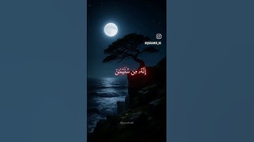 خشوع القارئ محمد أحمد شبيب في سورة النمل كأنه حضر قصة سيدنا سليمان (سورة النمل آية ٢٩/٣١)