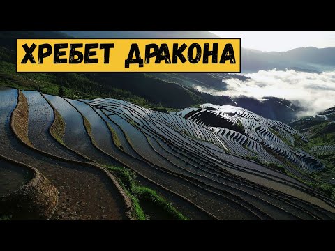 "Хребет Дракона"-рисовые террасы в Китае, Луншэн.