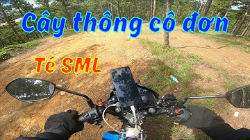 Raider | Đường đi đến cây thông cô đơn Đà Lạt | Omega Trần