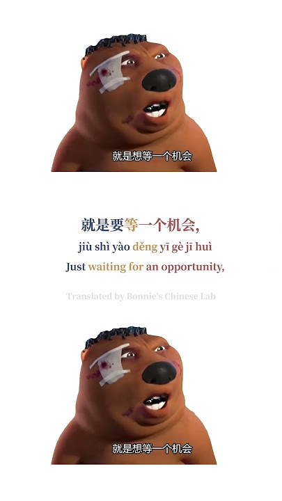 Chinese Beaver|Chinese Character/Pinyin/Engsub|Learn Chinese Through Memes|Mandarin