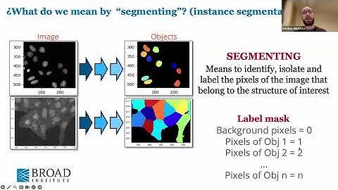 Introduction to CellProfiler: A beginner’s guide to pipelines and segmentation