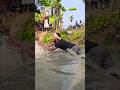 Wow! Amazing Polo Fishing Videos ! Best Big Fish Catching ! Primitive Technique fishing #fish #india