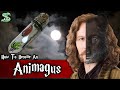 The Complete Animagus Process Explained