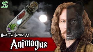 The Complete Animagus Process Explained