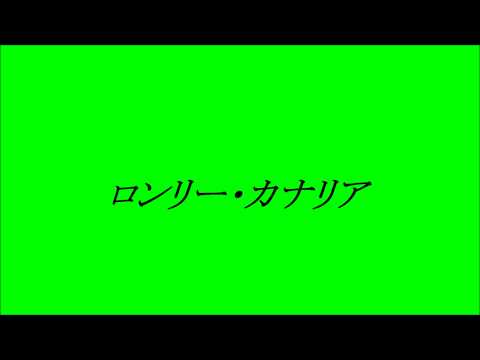 柏原芳恵　ロンリー・カナリア　~cover