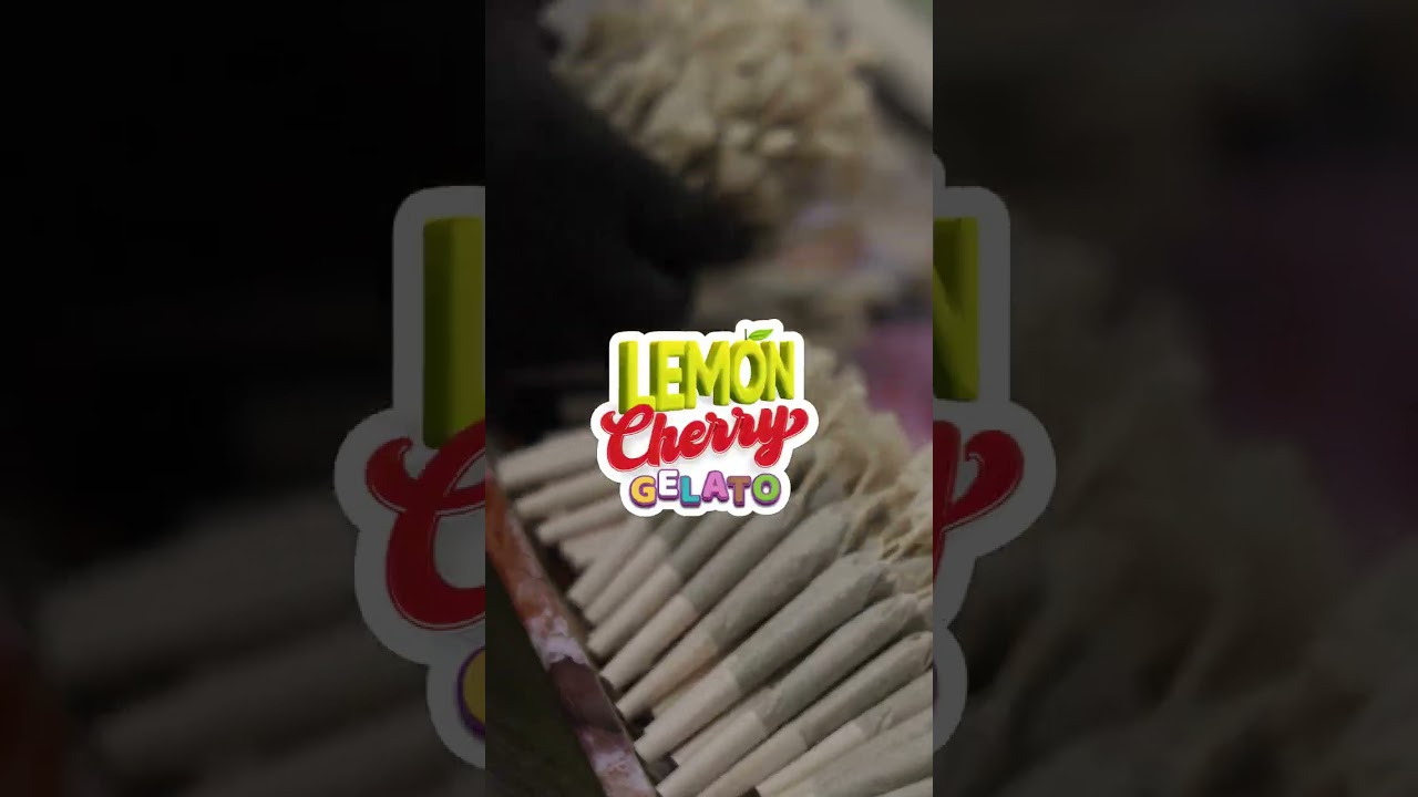 TRU Infusion Flower Promo | 100+ Strains