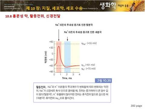 생화학 11주차 2-10장