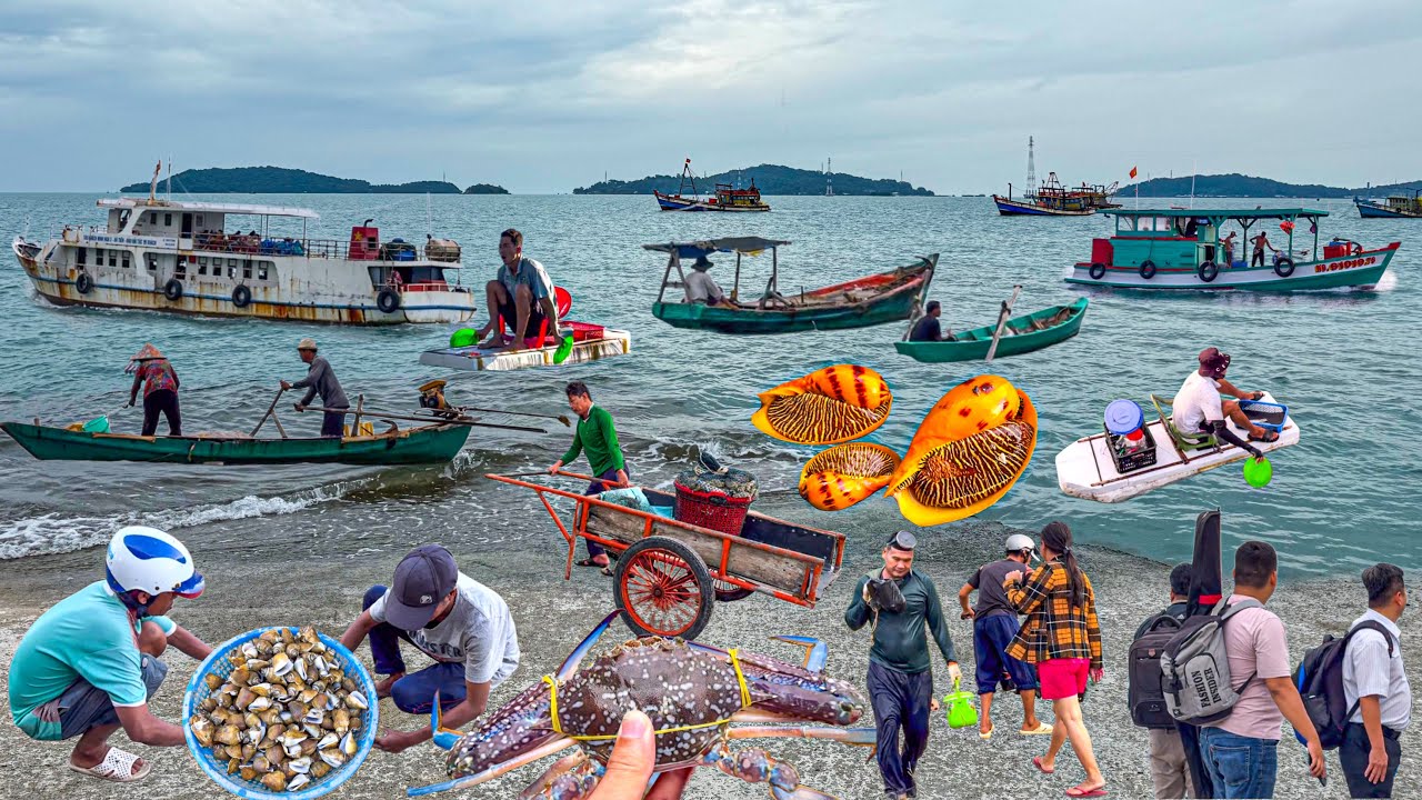 Quần Đảo Hải Tặc Đẹp Nhất Hà Tiên | Cuộc Sống Nơi Đảo Nhỏ Chỉ Cách Bờ 30 Phút