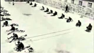 Brief History of Apartheid -