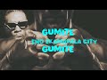 Bad Sparksy GUMITE Official Lyric Video