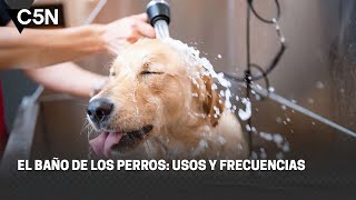 El Baño De Los Perros: Usos Y Frecuencias