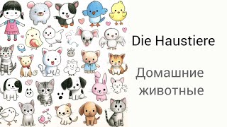 Учим немецкий. Домашние животные. Die Haustiere #a1 #deutsch #new #deutschfürkinder #haustiere