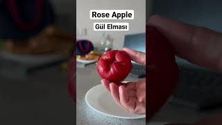 İlk Kez Tattığım Gül Elması,  ROSE APPLE. #fruit  #meyve #