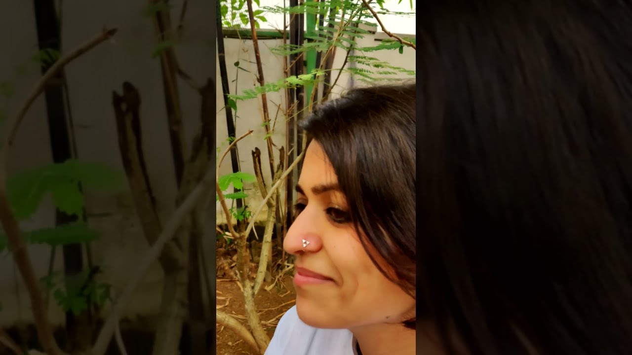 Aztec Nosepin - by Quirksmith