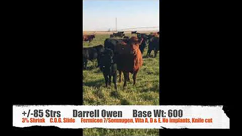 2017 LA Darrell Owen 85 Strs