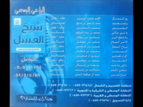 شيلة ياسعود يامشكاي 
