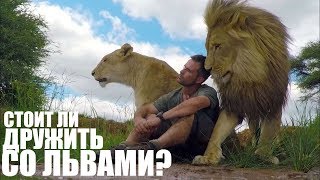 СТОИТ ЛИ ДРУЖИТЬ СО ЛЬВАМИ? | RUS VOICE
