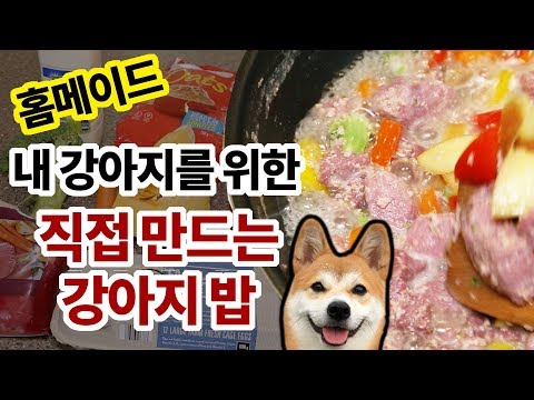 집에서 직접 만드는 강아지 밥 (Homemade dog food)