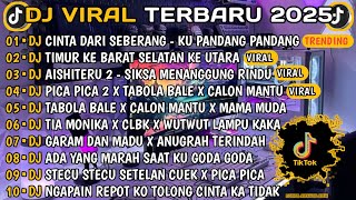 DJ VIRAL TERBARU 2025-🎵DJ CINTA DARI SEBERANG-KU PANDANG PANDANG🎵DJ TIMUR KE BARAT SELATAN KE URATA