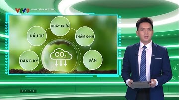 Sàn Giao dịch tín chỉ Carbon_ Hành Trình Net Zero - Hành trình Net Zero 07 2024
