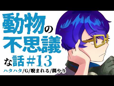 【怪談朗読】戦国時代の武将と魚の不思議な縁【作業用/睡眠導入】動物にまつわる不思議な話#13「ハタハタ」ほか３話
