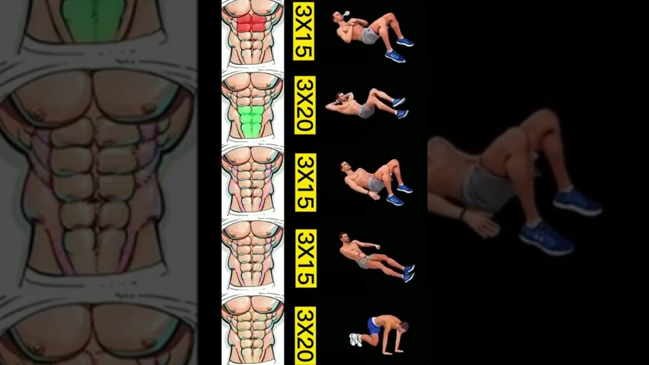 5 Best Exercises to Define ABS shorts abs YouTube