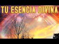 Tu esencia divina