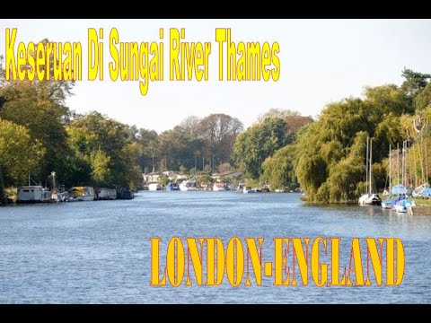 Video: Di sungai thames london?
