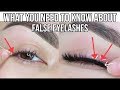All About False Lashes | How to Apply, Clean and Remove False Eyelashes