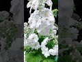 2022年3月21日