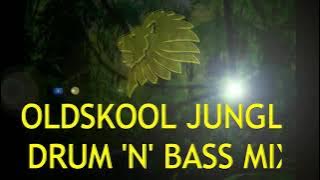 Oldskool Jungle Drum n Bass Mix 92- 97