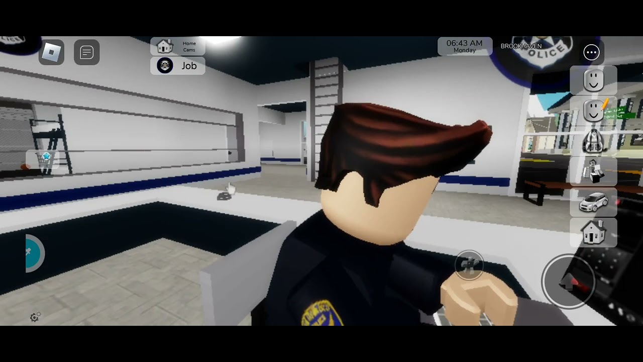Being a police in Brookhaven RP🏡 (Part 2 in 308K views) - YouTube