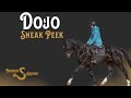 Dojo - Sneak Peek || Warmblood || Schoolmaster
