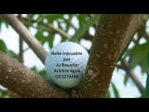 La balle jugée injouable par JJ Bouche Arbitre ligue Occitanie