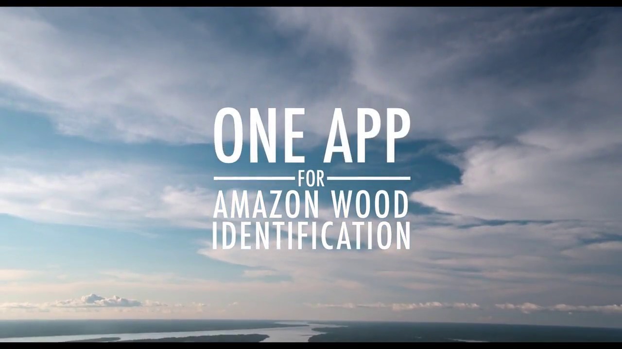 One app for Amazon Wood Identification - YouTube