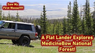 A Flat Lander Explores Medicine Bow National Forest | First Time Wheelin in Wyoming