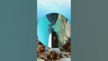 AI Powered Underwater Drones Revolutionizing Sustainable Fisheries Management