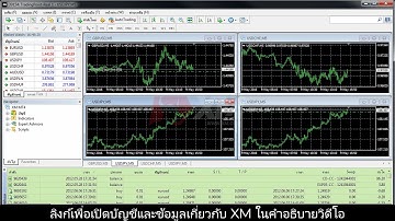 XM | แนะนำการใชงาน MT4  หนาตาง Terminal แบบละเอยด | Forex XM