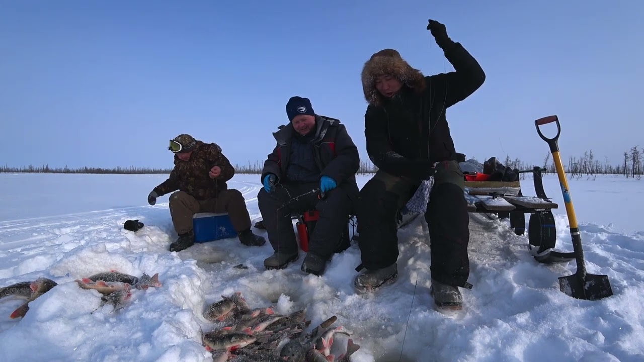 ЭТОТ МУЖИК С ПОДМОСКОВЬЯ ЛОВИТ ОКУНЯ ДАЖЕ в -40! У НЕГО ЖАРА ИДЁТ!!!