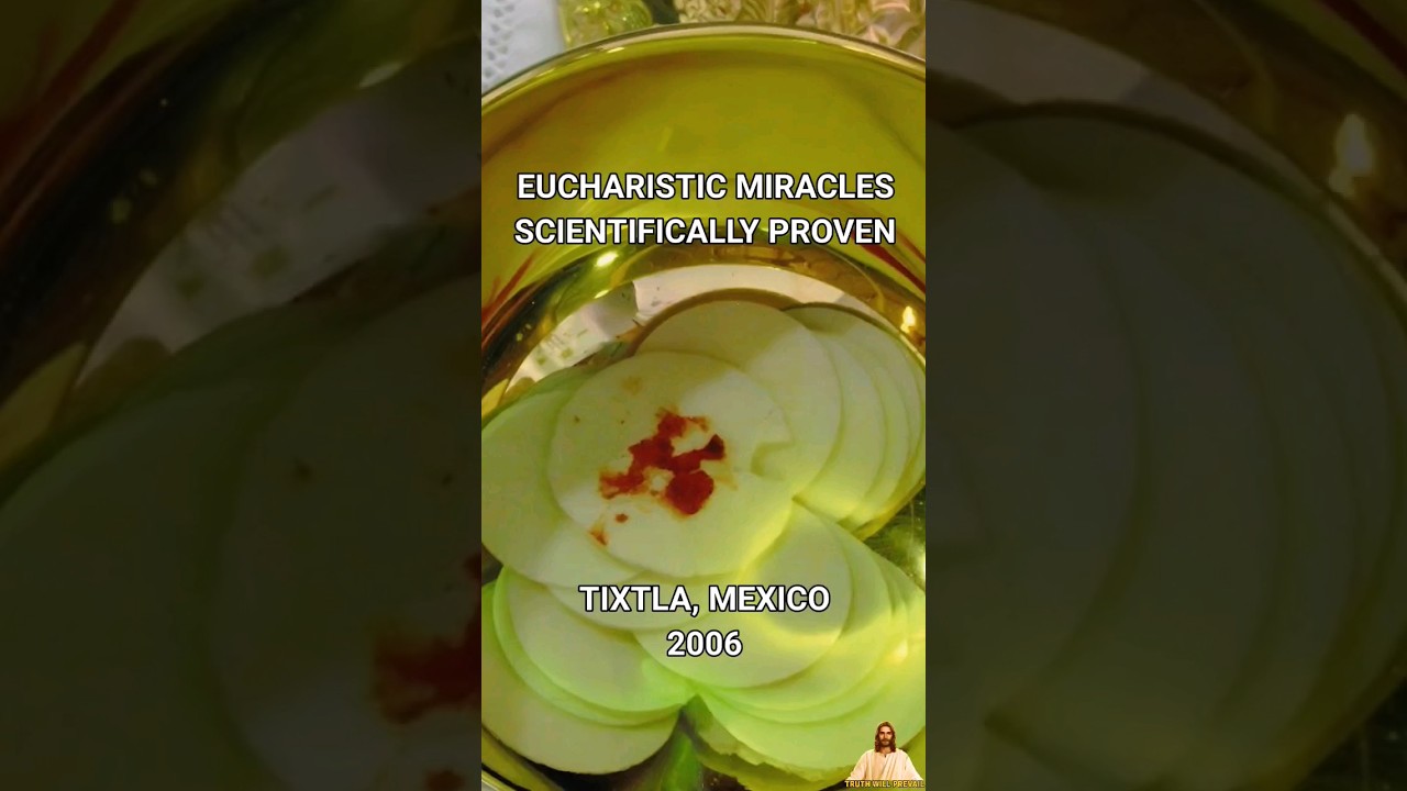 Eucharistic Miracles - Scientifically Proven #shorts #eucharist #jesus