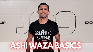 LEARN The Basics Of Ashi Waza - Flo Factory