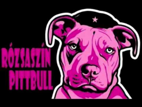 Rózsaszín Pitbull - A börtön ablakába - YouTube