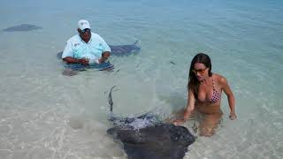 PRIVATE ISLAND in the BAHAMAS| Lobster Cookout & stingrays