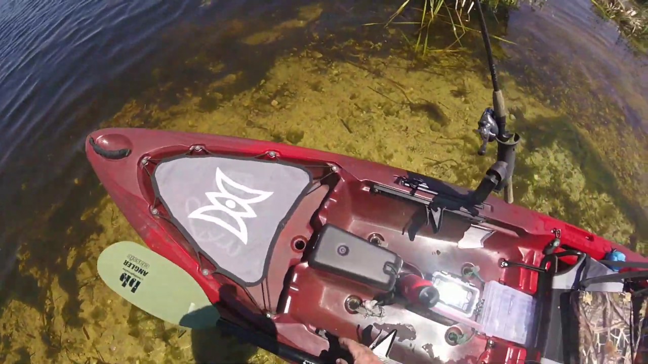 Emeralda Island Marsh Adventure