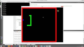 SFML SNAKE - Game Explanation