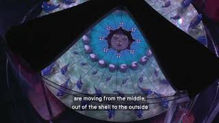 The Art of Illusion: Optical Toys Demonstration