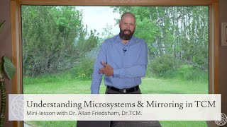 Mini-Lesson | Understanding Microsystems & Mirroring in TCM